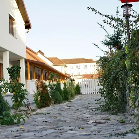 Pensiunea Rustic-3